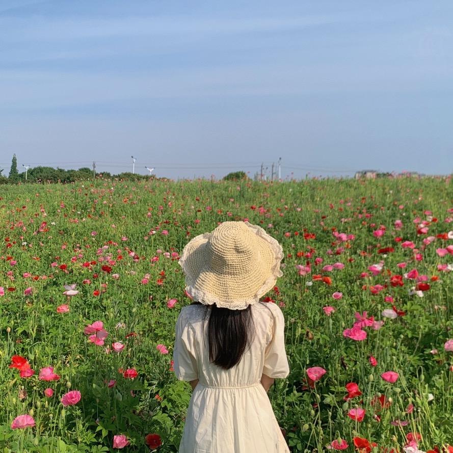 白梗集📷