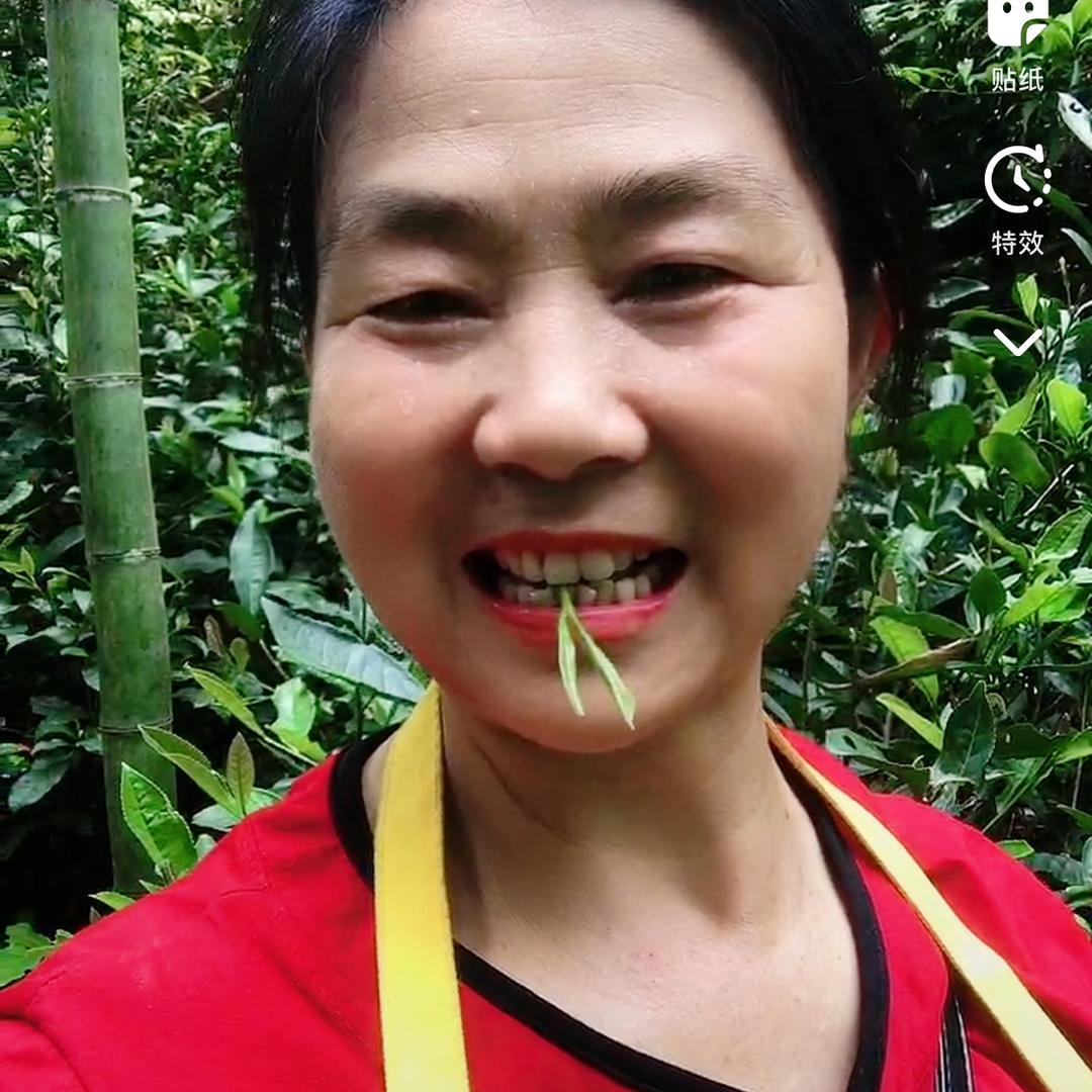 乡村莲姐，