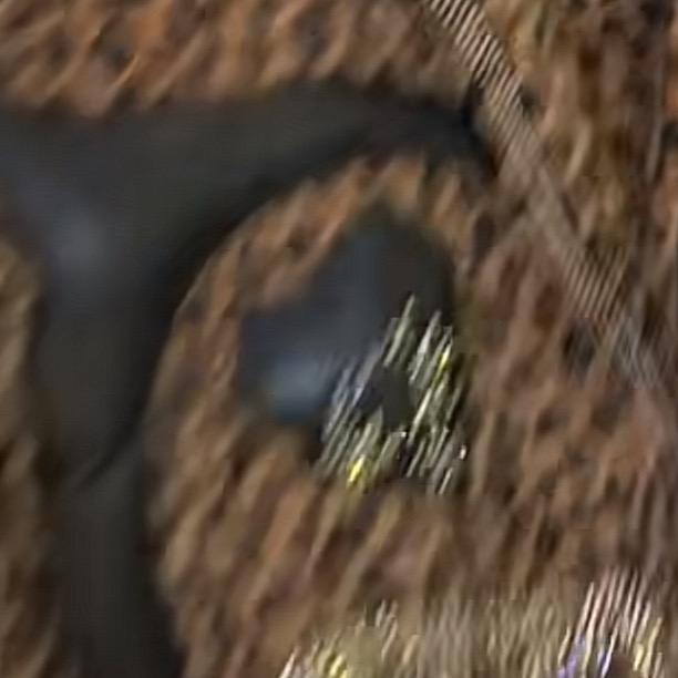 修改名字不知道叫什么