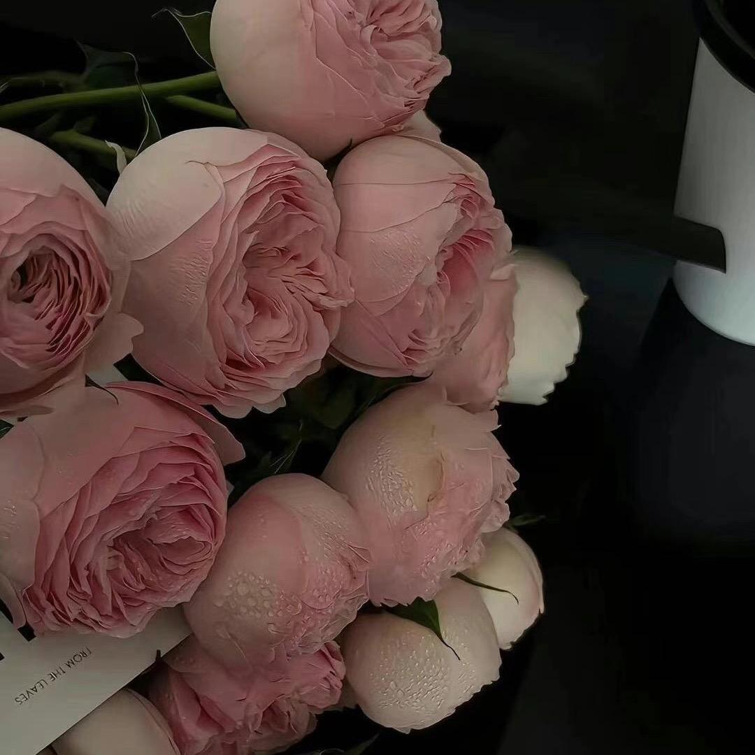我不是淑女