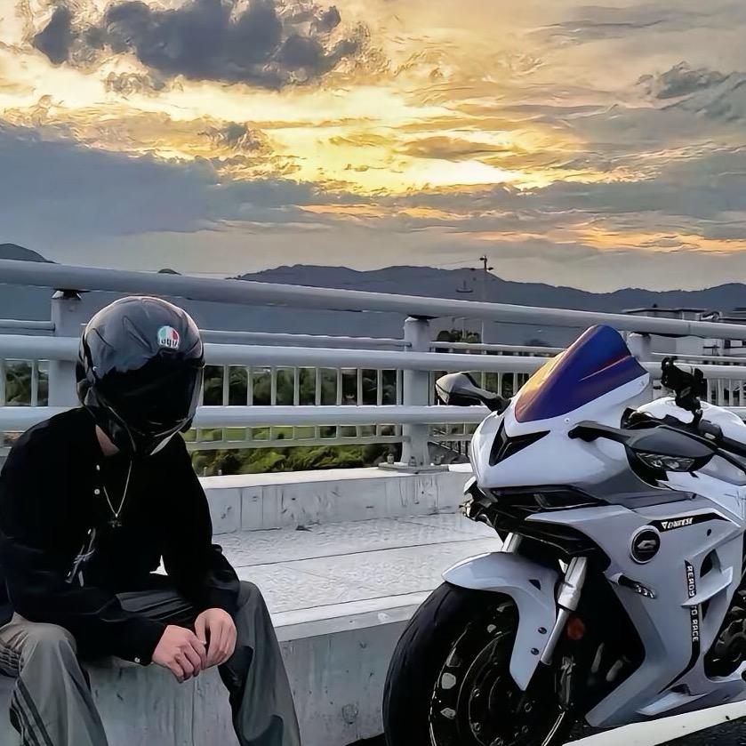 棉羊一路向前