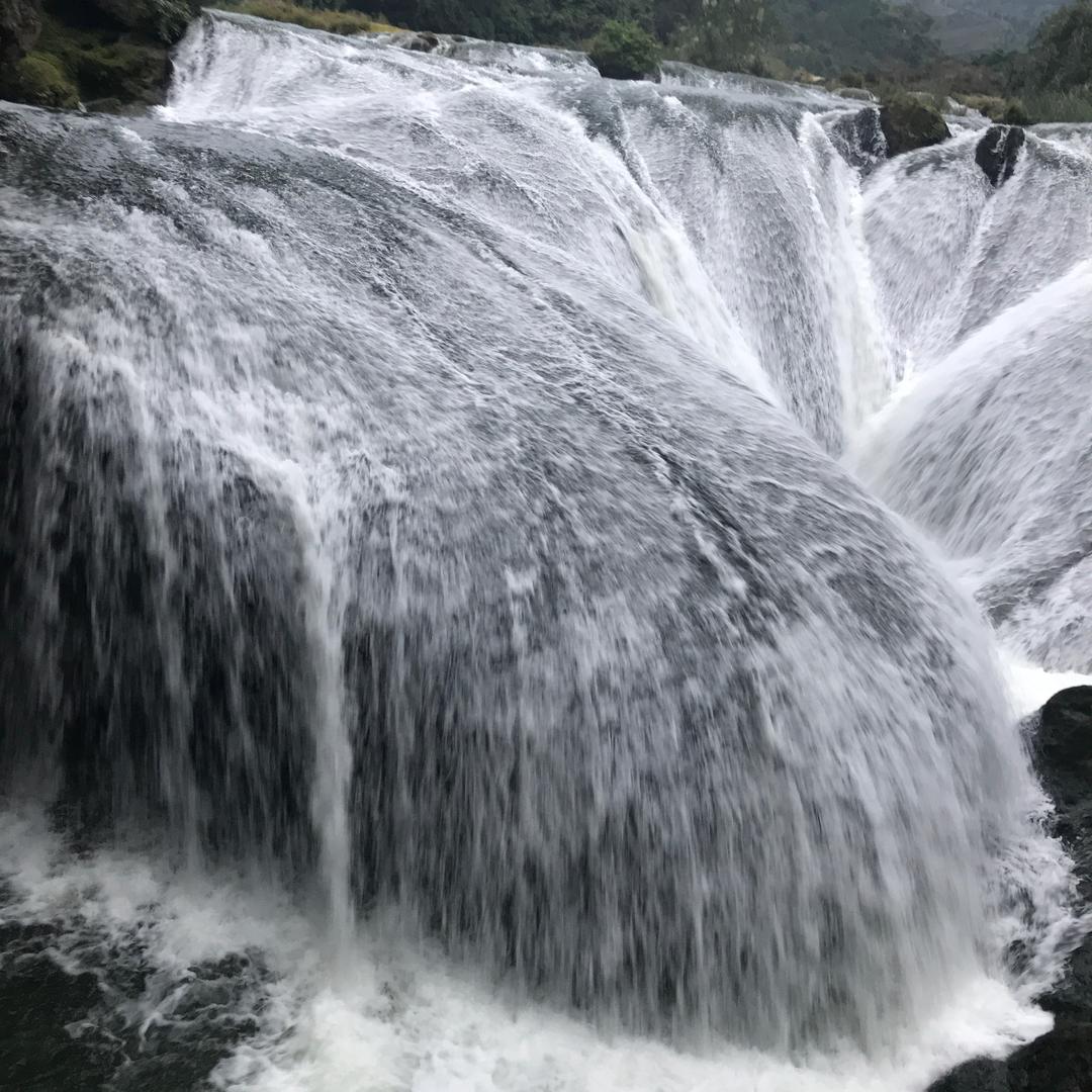 🐟🐟🐟以默
