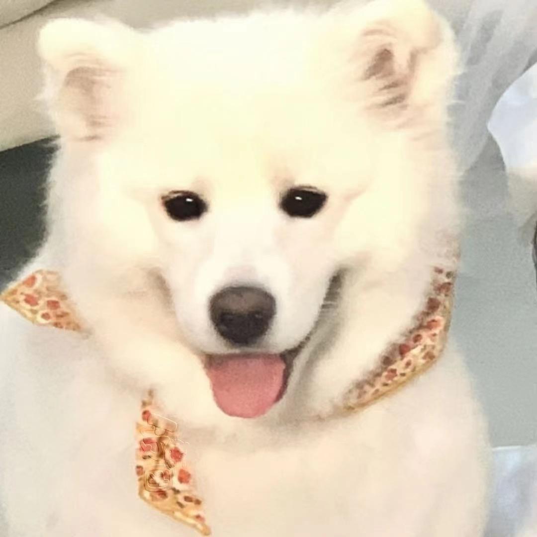 君亭餐饮有限公司