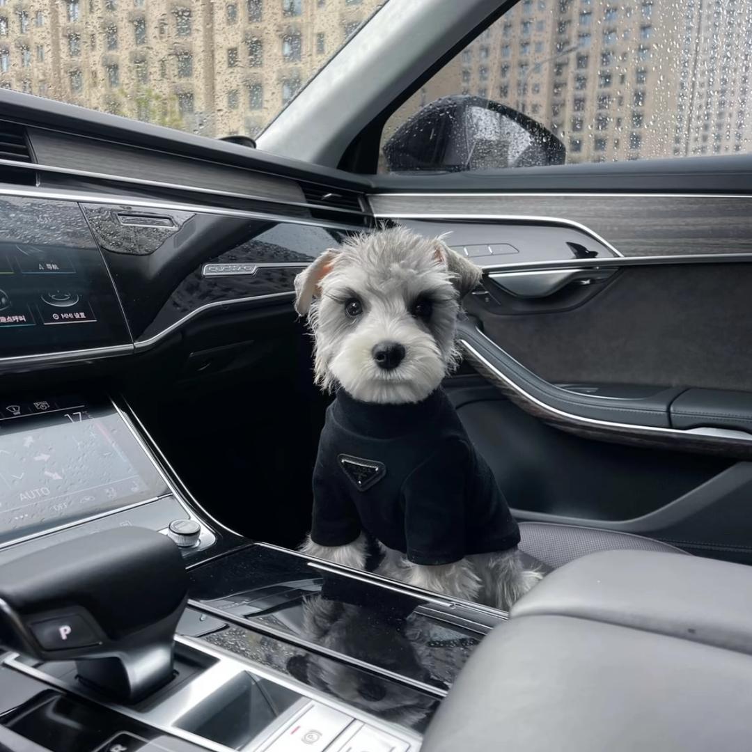 ￴￴ ￴￴ ￴￴ ￴