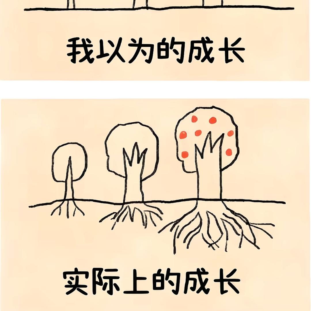 '🤓常如愿🌈
