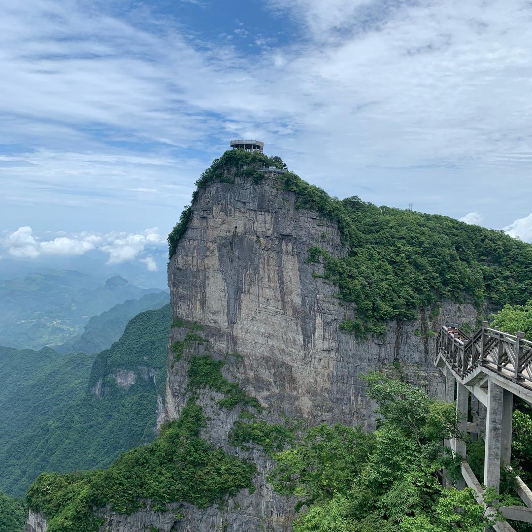 没有退路