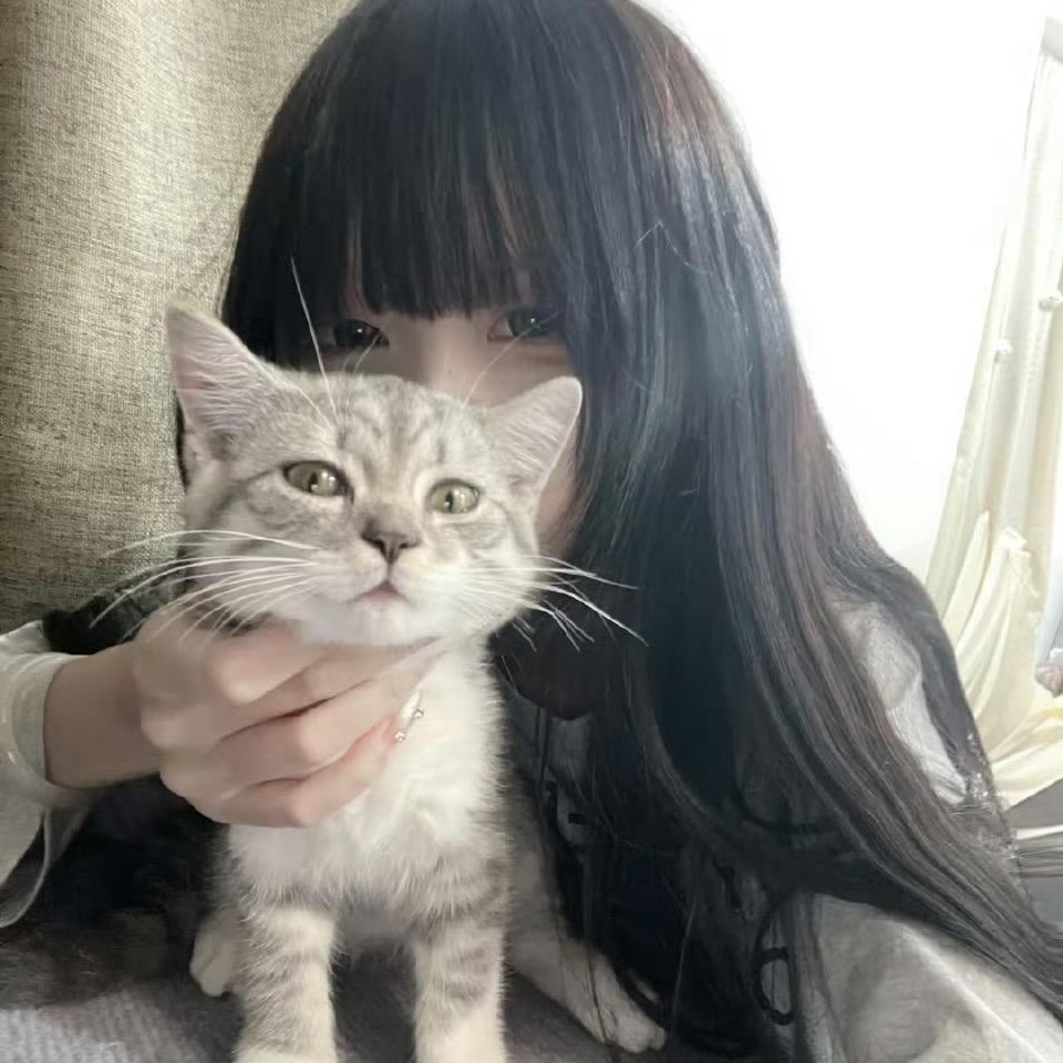 に鯳ъī貓ゞ