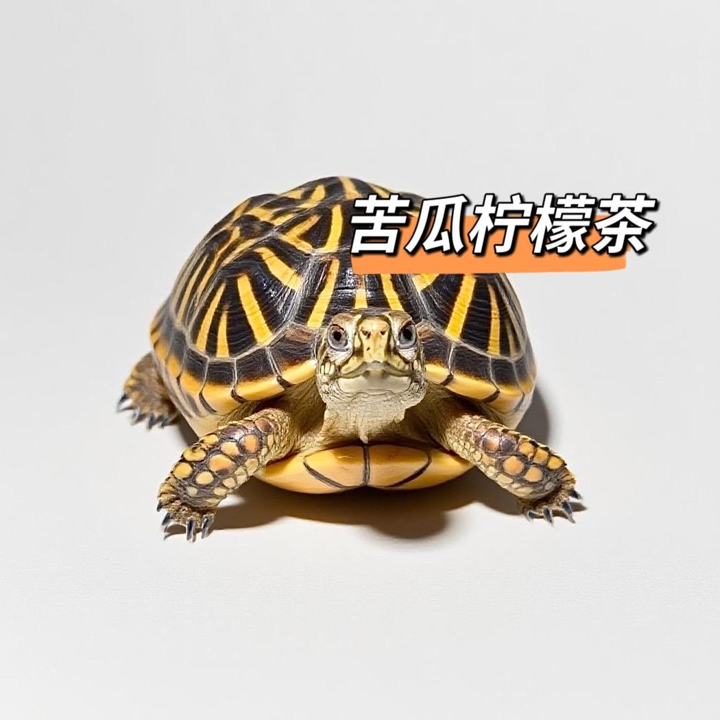 苦瓜柠檬茶
