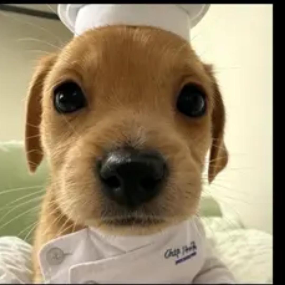 敷衍….