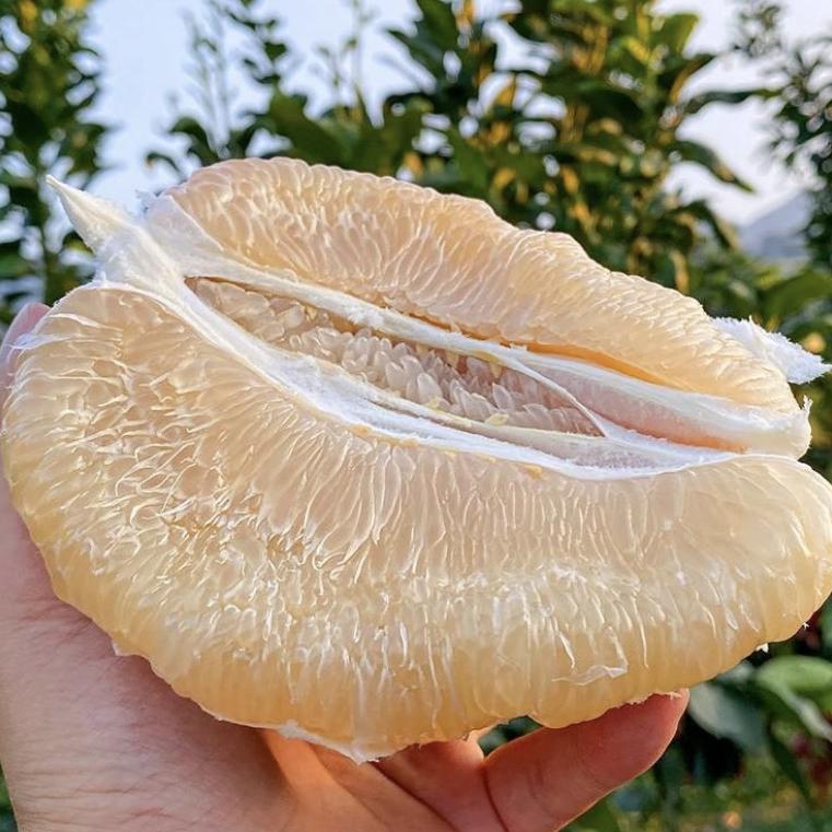 柚果熟蔬菜制品旗舰店