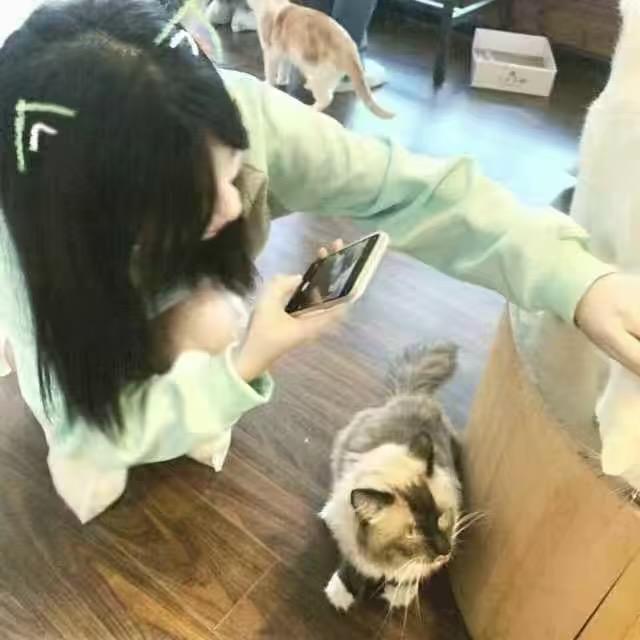 呆呆鼠