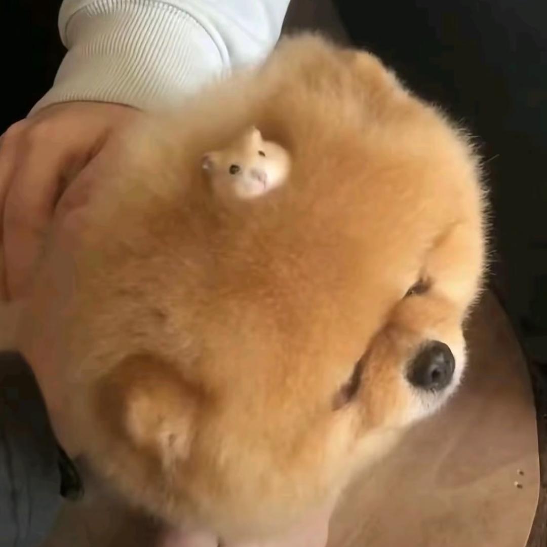 今天明天阴天雨天