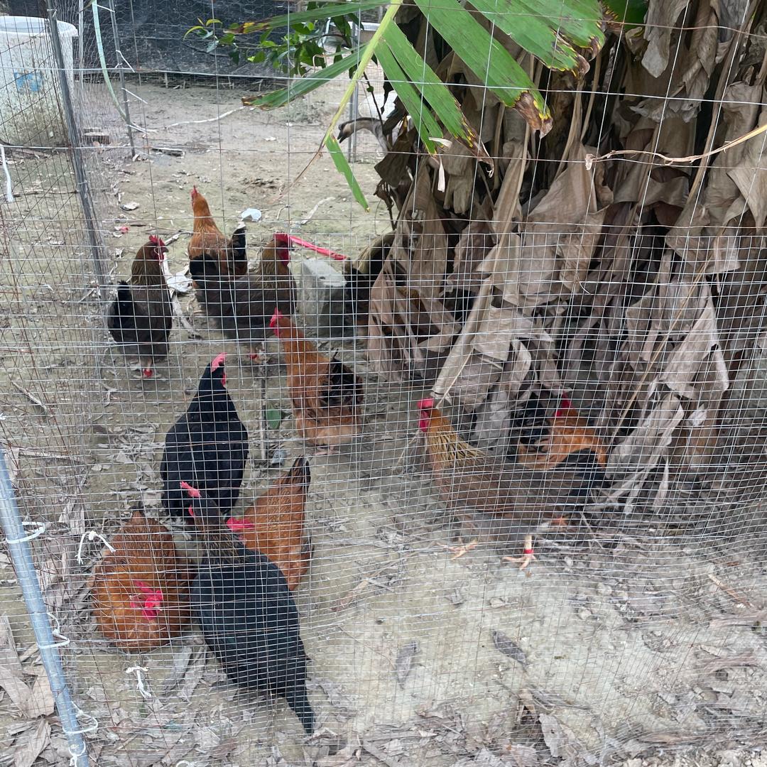 花都亲子户外活动群