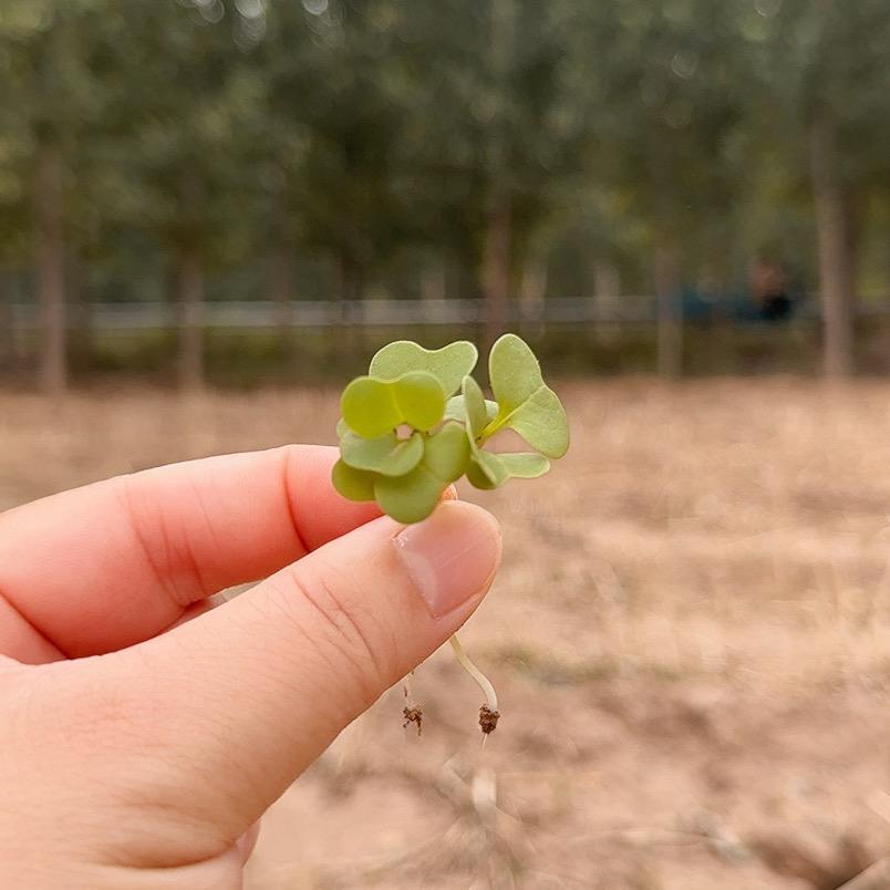心❤️如止水💦