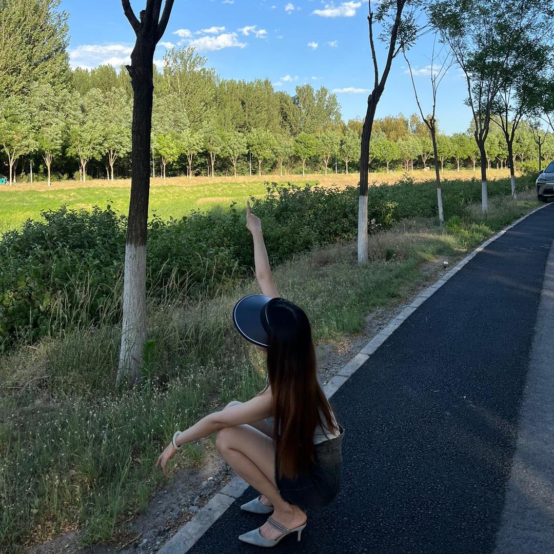 爱山毛榉