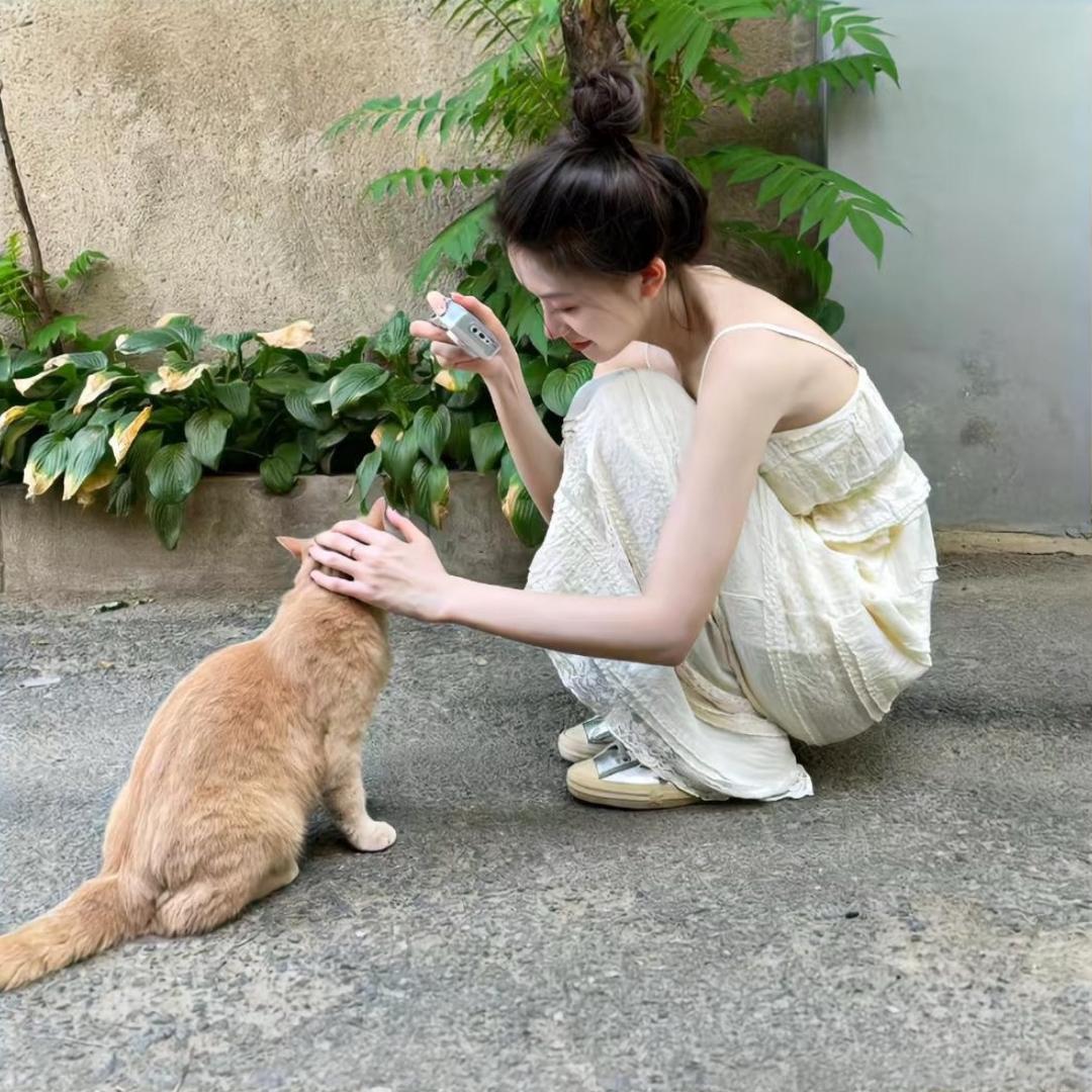 猪肉