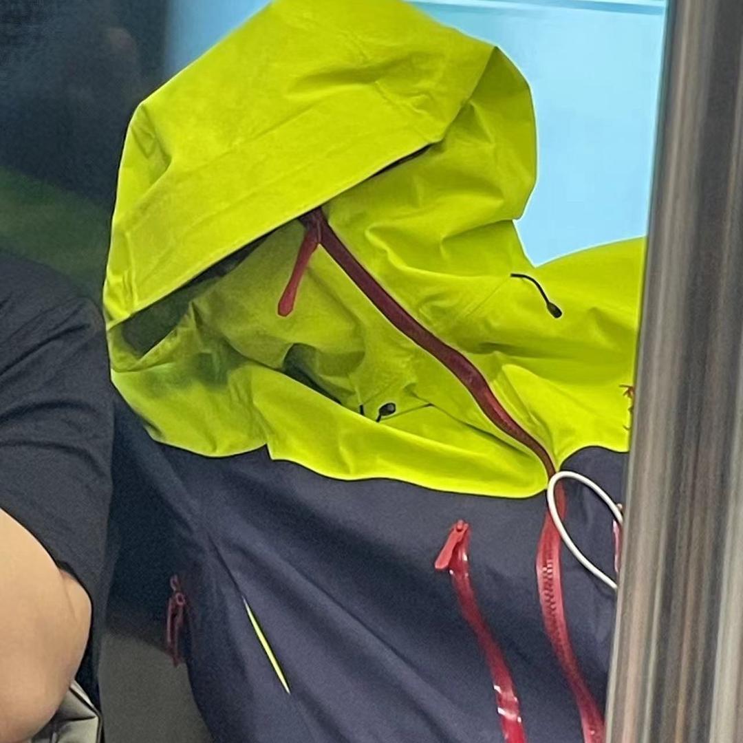莴苣叶