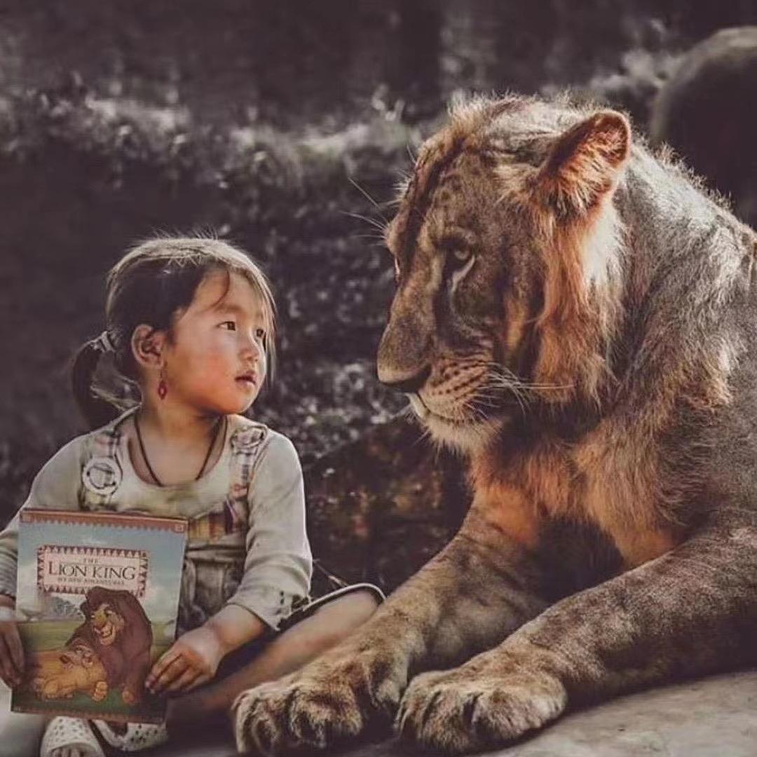 💥洛桑📔