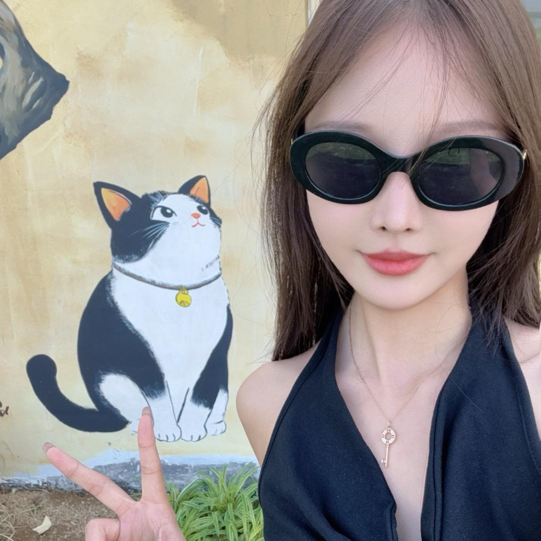 滕州流浪猫救助