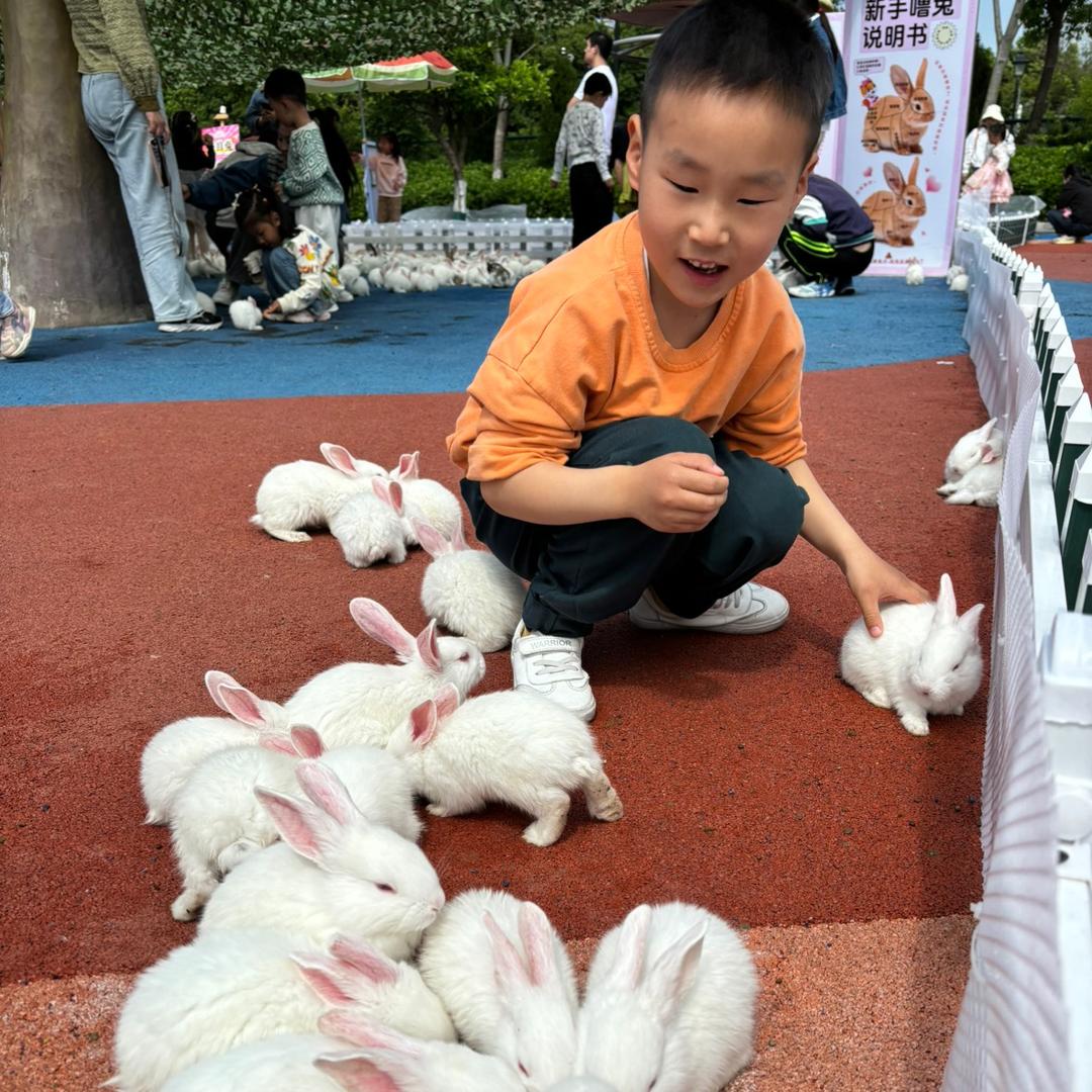 萌宝🤗