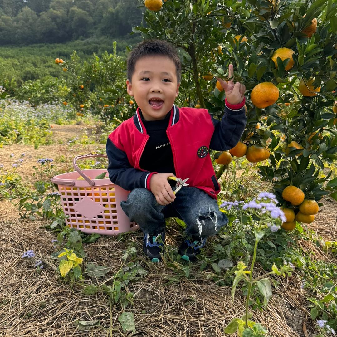 坤哥百货