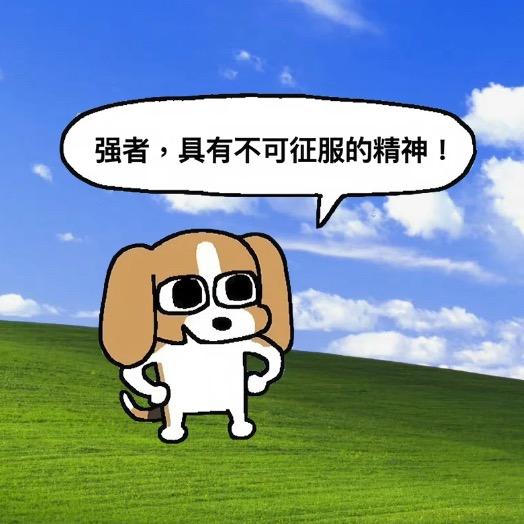 卖裤纸的小男孩