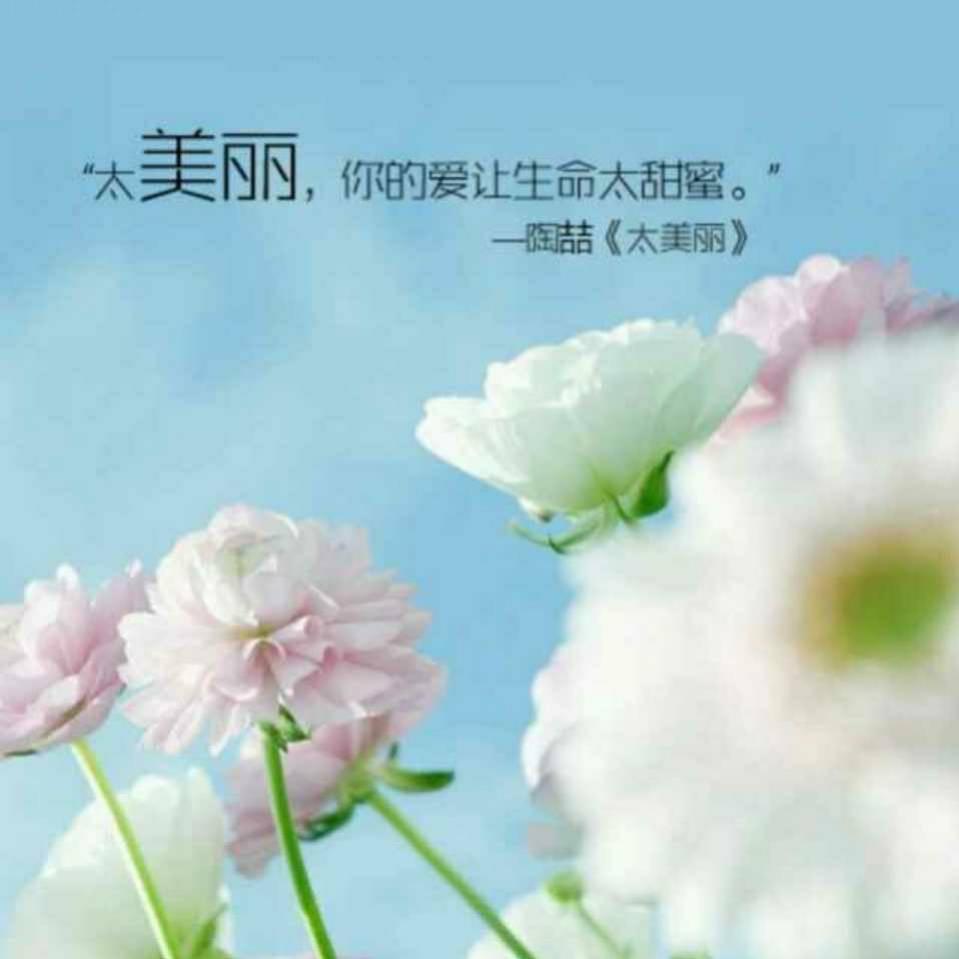 影子，我们不一样