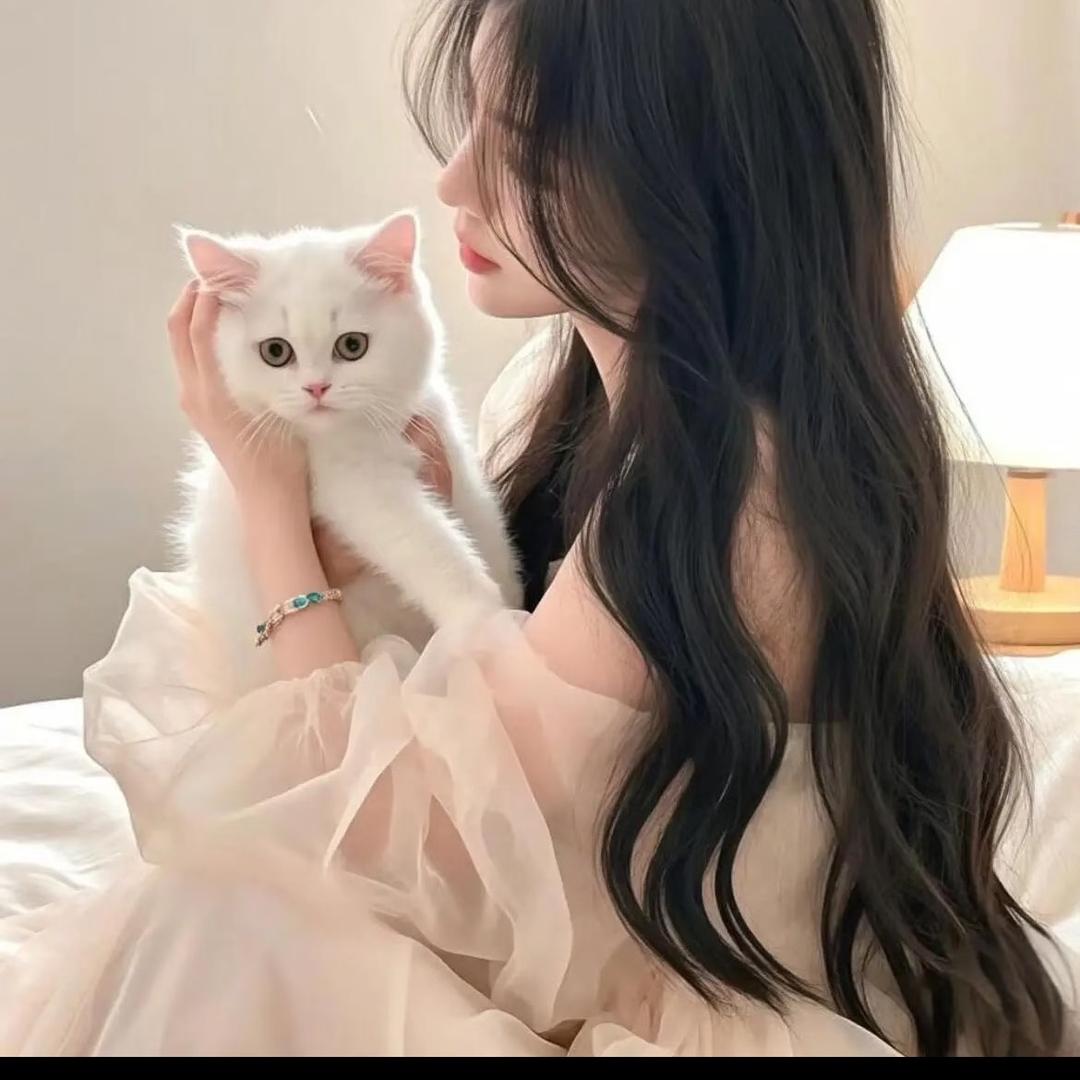 喵小咪～