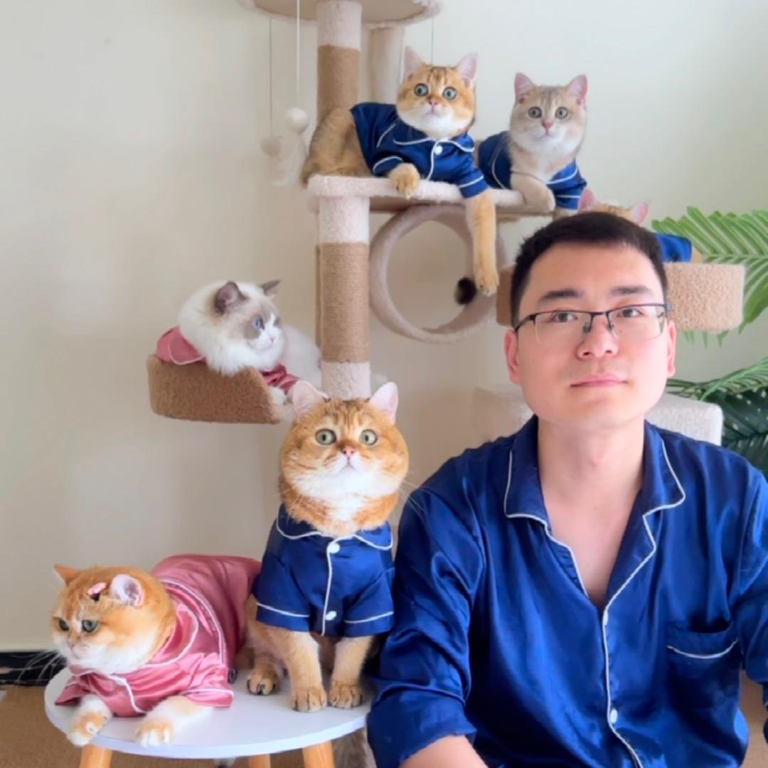 八只猫的铲屎官