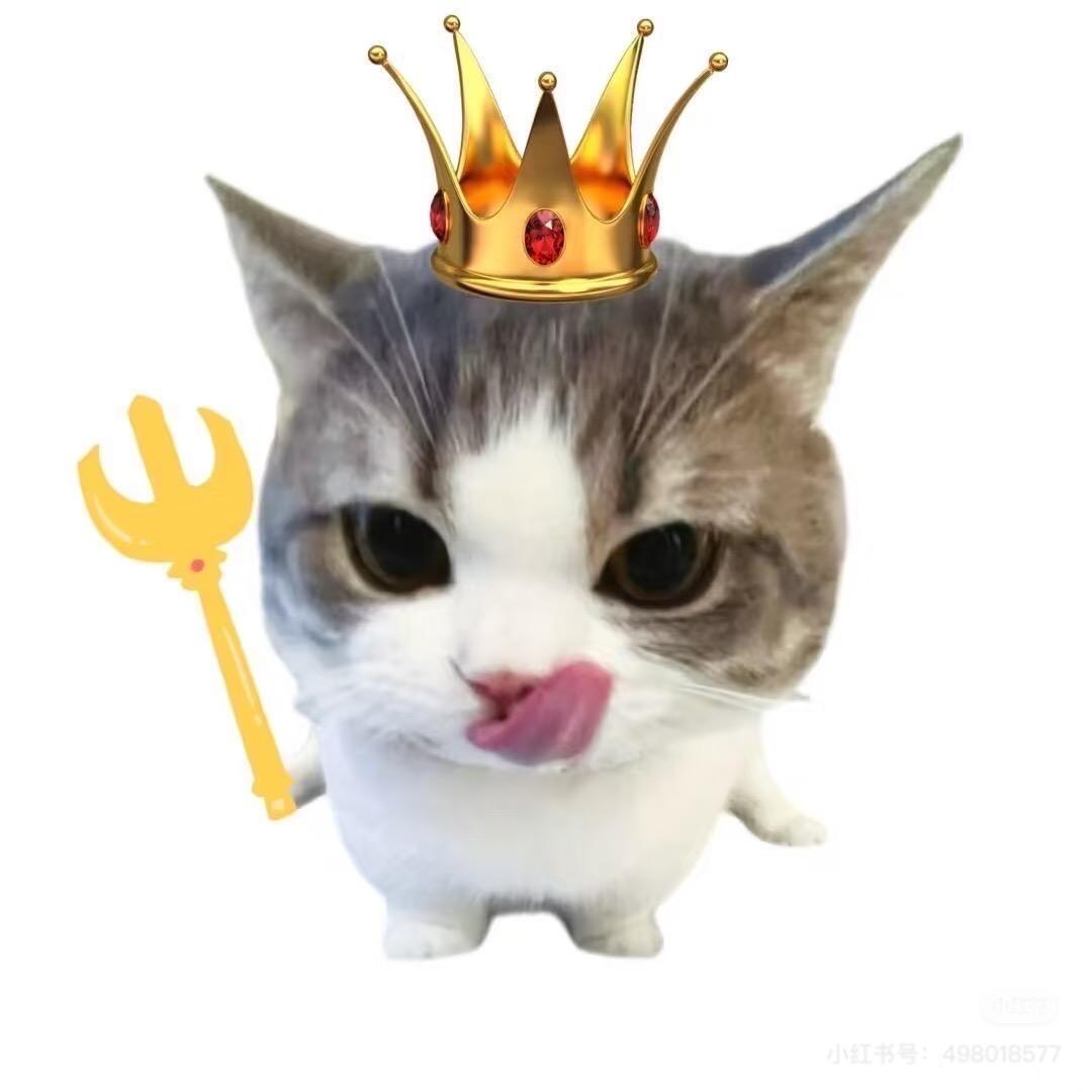 Xzz