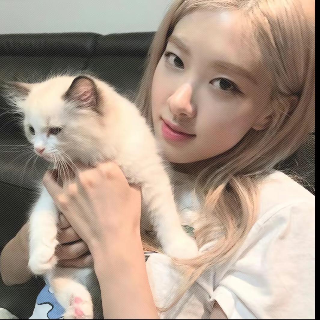 烊烊