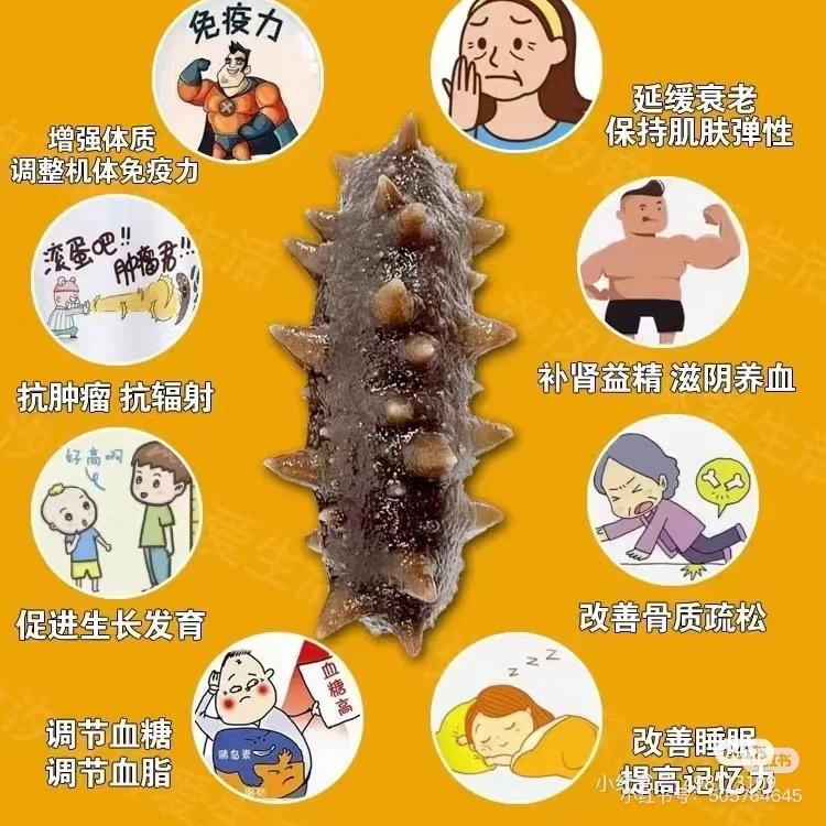 大连野生海参批发零售