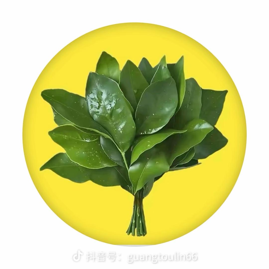 🍊橘子