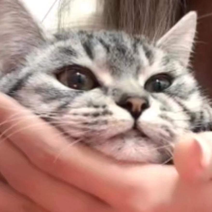 小个儿