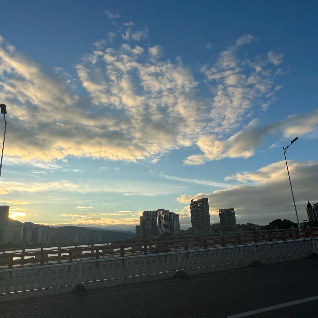 巴黎的牛