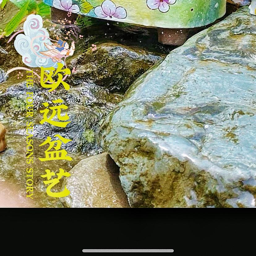 欧远花盆