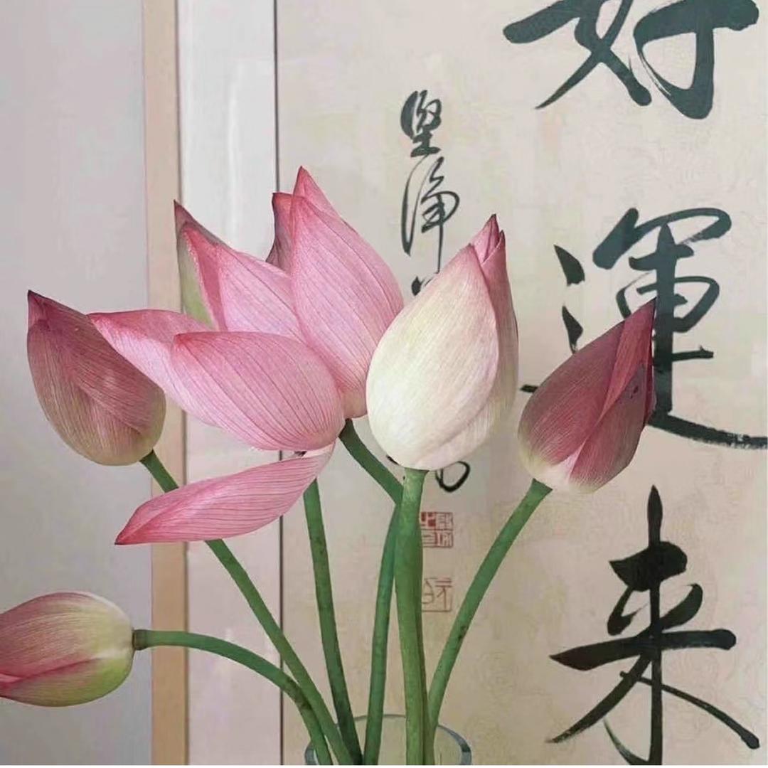 芋圆波波