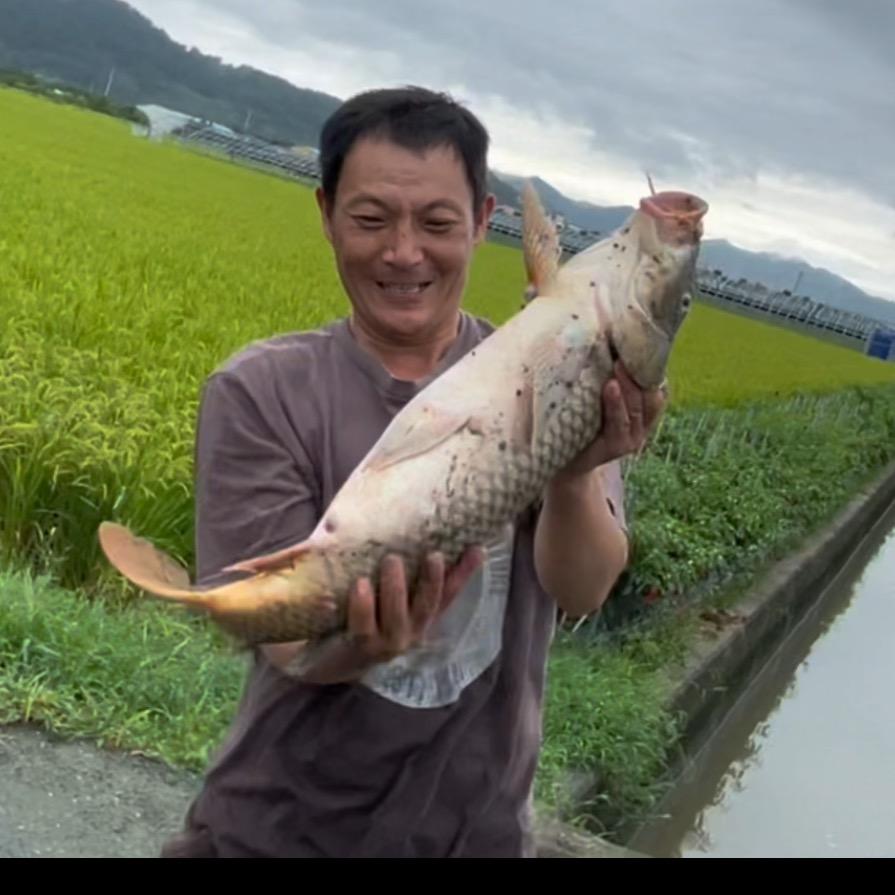 林哥户外捕鱼