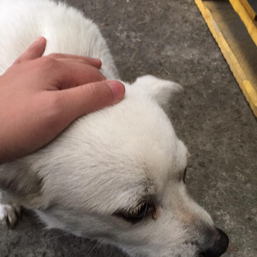 ☘️悲喜˃ 𖥦 ˂ 自渡