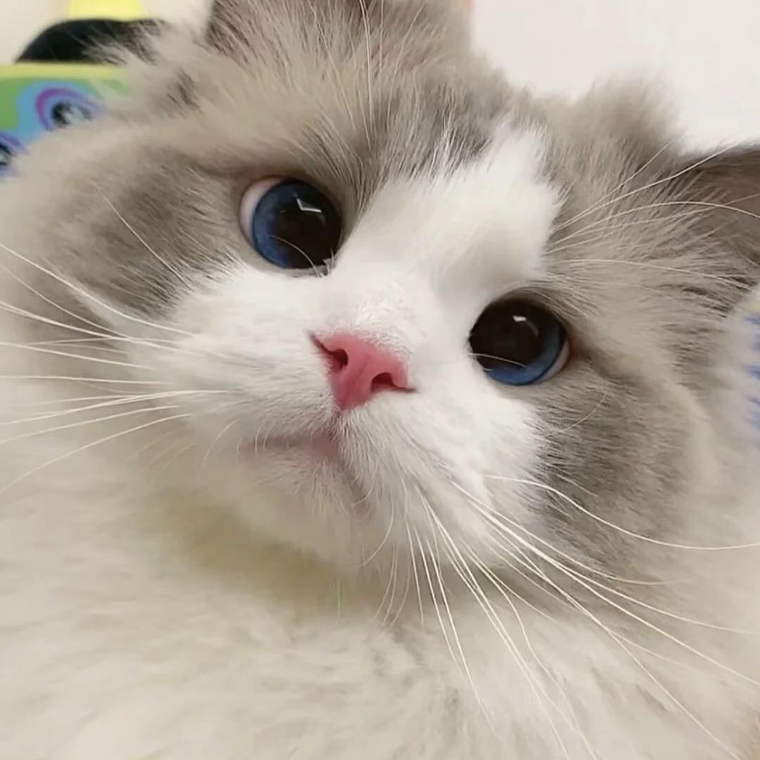 桐⑉･ᴗ･⑉