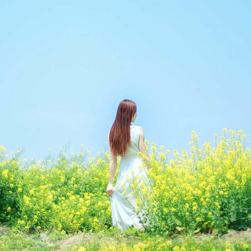 彩虹2000