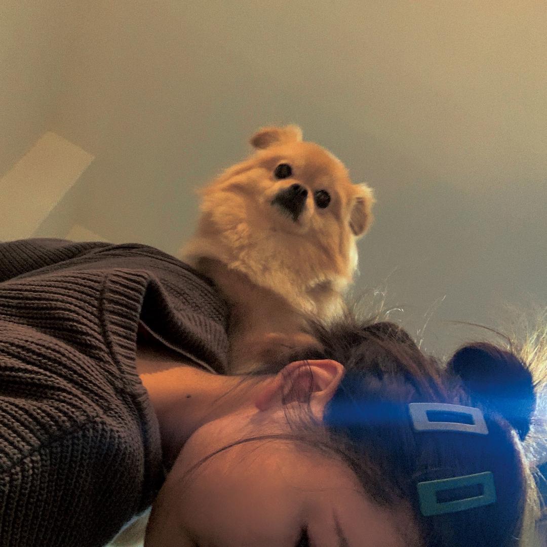 彭