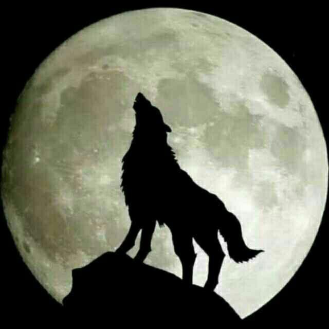 ღ᭄孤城ꫛ浪子꧔ꦿ᭄