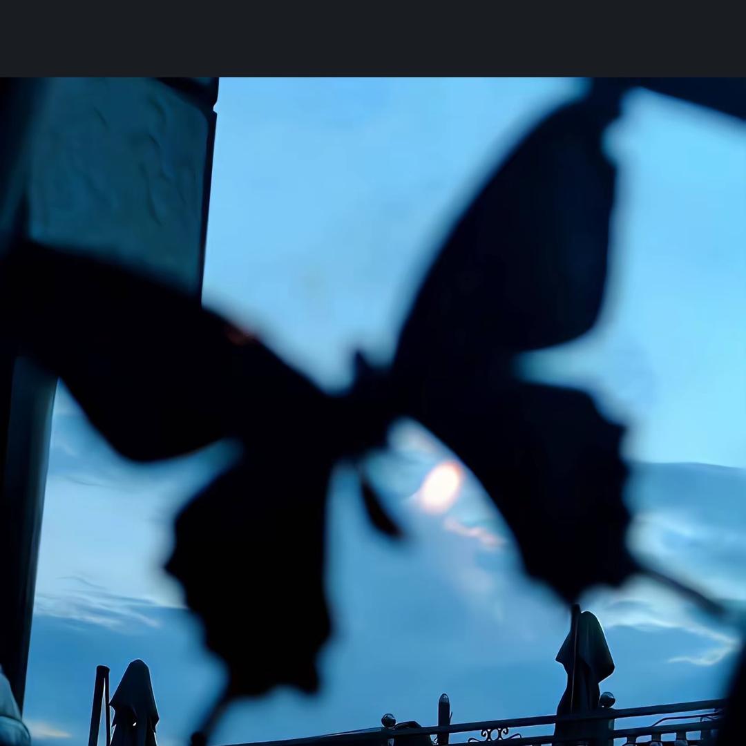 🦋_411