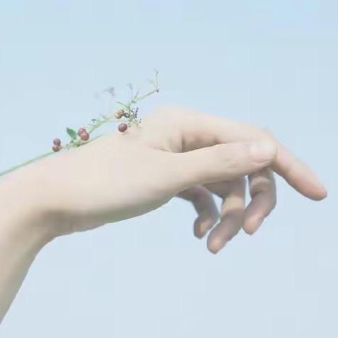 🌻 时光小屋⁴²⁷