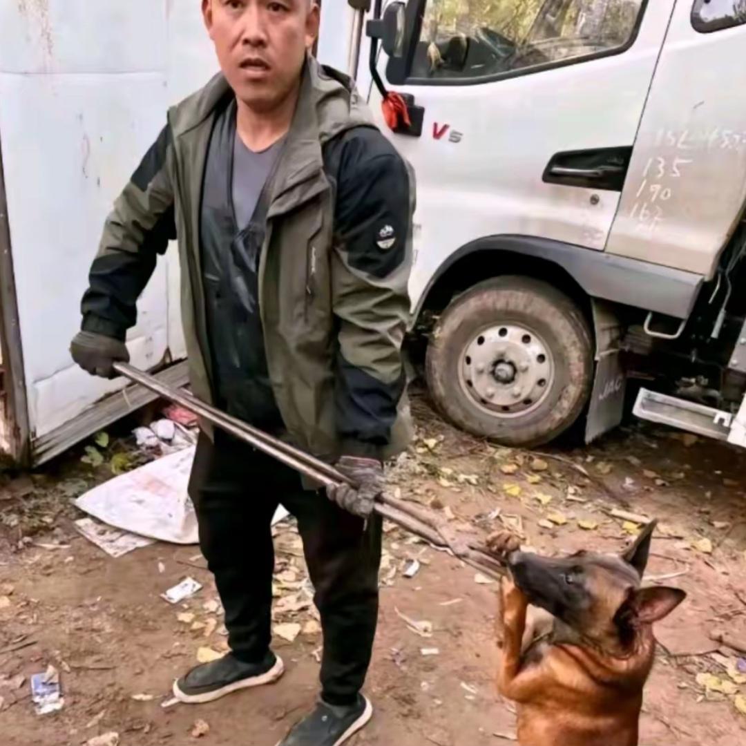 AAA-专业套狗二哥（看见舔狗一律套走）