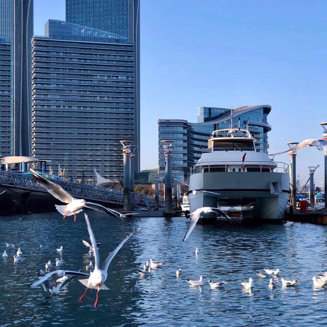 日照文旅·世帆赛基地