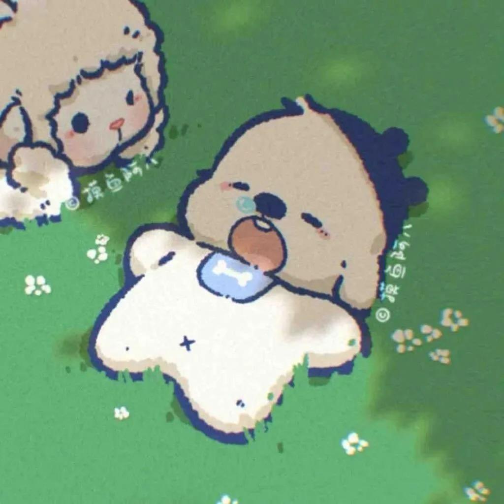 小白