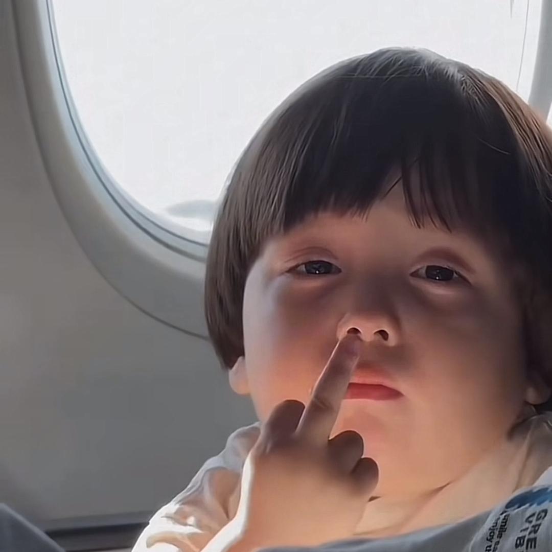 你的猫在楼下散步被我抱走了