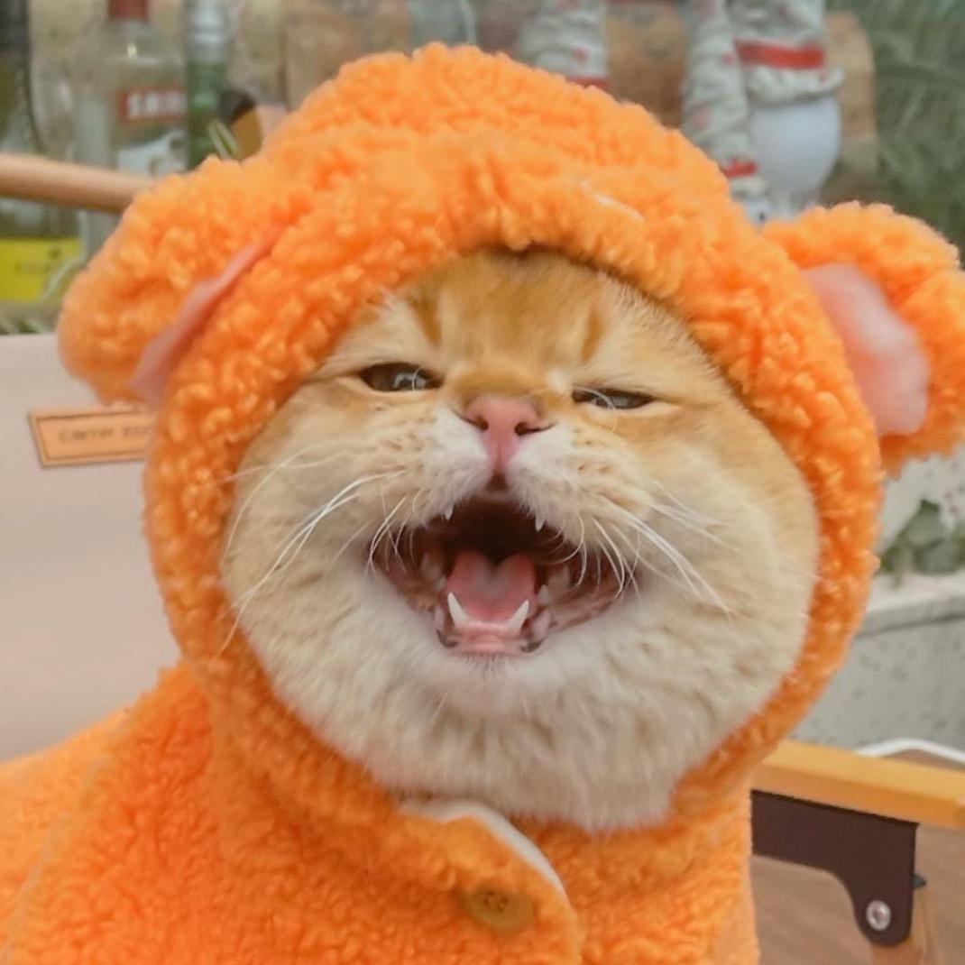 aa